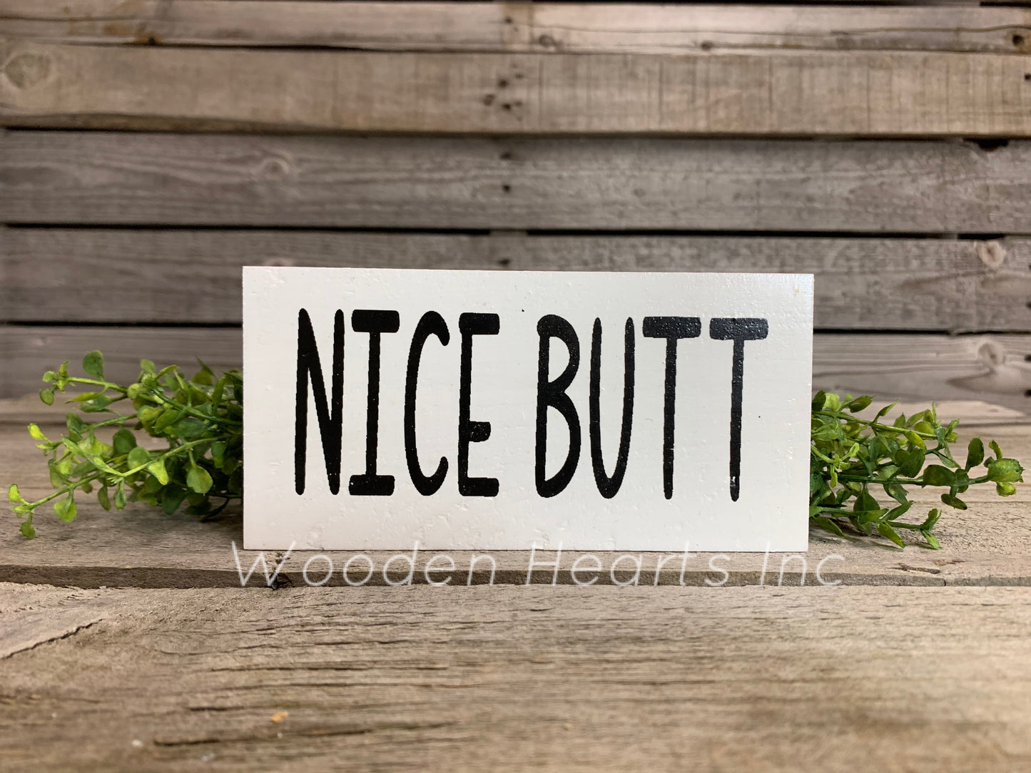 BATHROOM Sign Brush, Floss, Wash, Flush, Shower, Nice Butt, Wash hands, Get Naked 3x6 - Wooden Hearts Inc