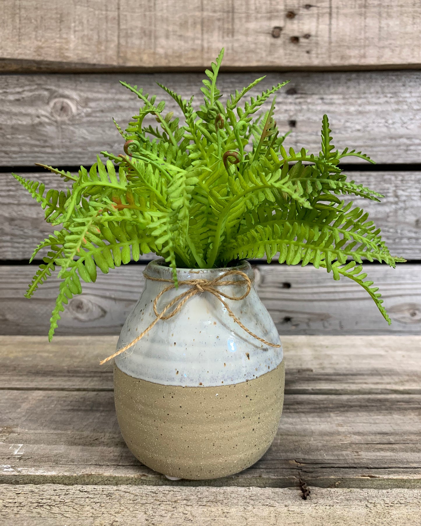 2 Tone Vase SUCCULENT PLANTS in Ceramic Pottery bottle Pot Jar Mini Greenery Decor - Wooden Hearts Inc