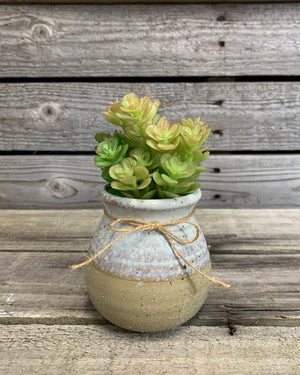 2 Tone Vase SUCCULENT PLANTS in Ceramic Pottery bottle Pot Jar Mini Greenery Decor - Wooden Hearts Inc