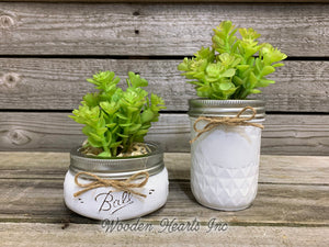 SUCCULENT PLANT in Pot Mason Jar Half Pint or Quilted Farmhouse Decor Ball White Greenery - Wooden Hearts Inc