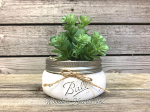 SUCCULENT PLANT in Pot Artificial Mason Jar Half Pint Farmhouse Decor Ball White Greenery - Wooden Hearts Inc