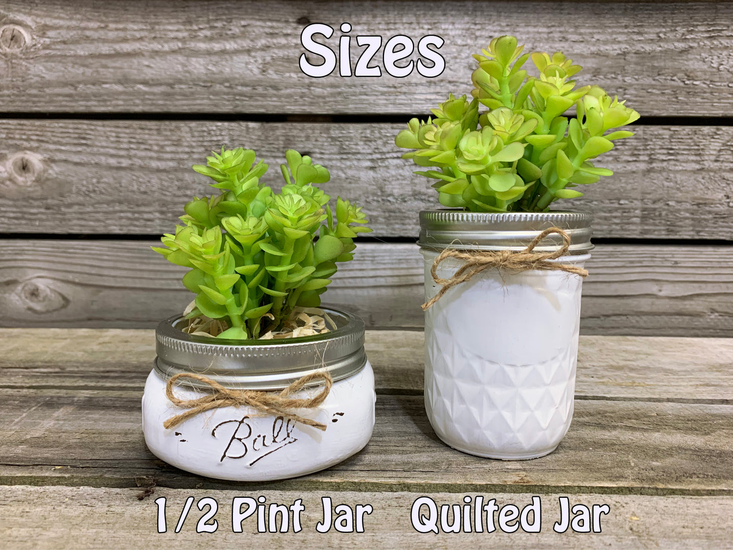 SUCCULENT PLANT in Pot Mason Jar Half Pint or Quilted Farmhouse Decor Ball White Greenery - Wooden Hearts Inc