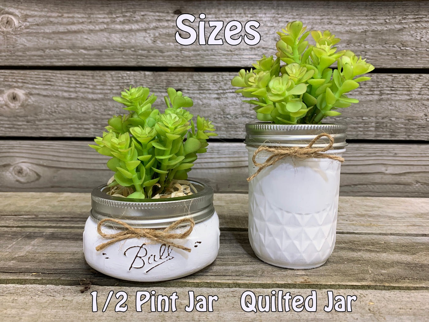 1 pint plant pot SUCCULENT PLANT in Pot Mason Jar Half Pint or Quilted Farmhouse Decor Ball White Greenery