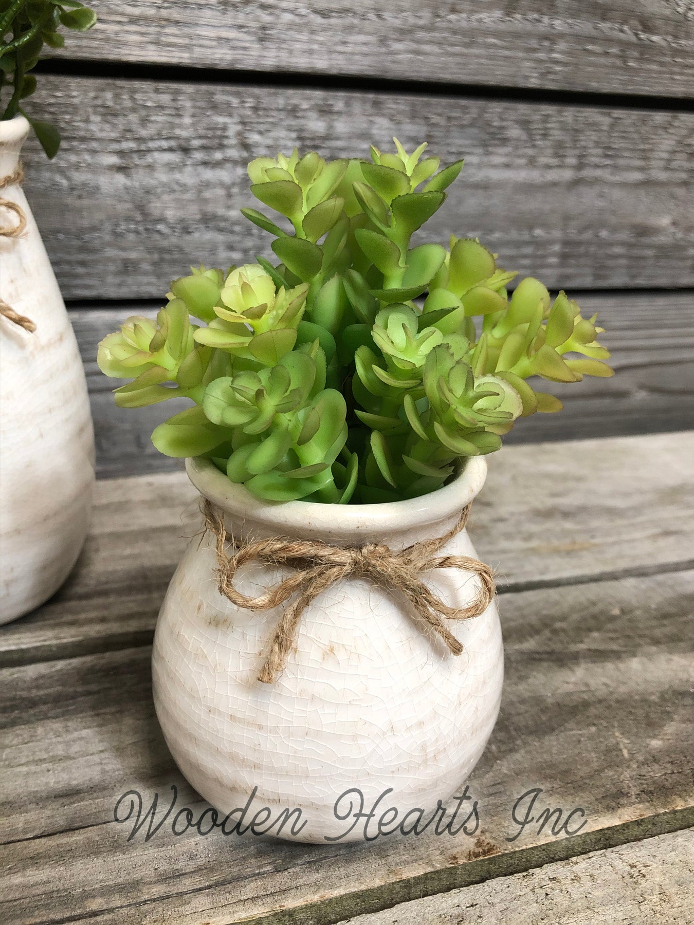 small cream plant pots Cream Vase SUCCULENT PLANTS in Ceramic Pottery bottle Pot Jar Mini Greenery Decor